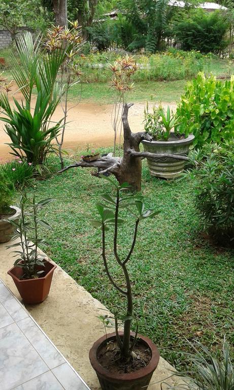 Sigiri Leisure Holiday Home Sigiriya Eksteriør billede