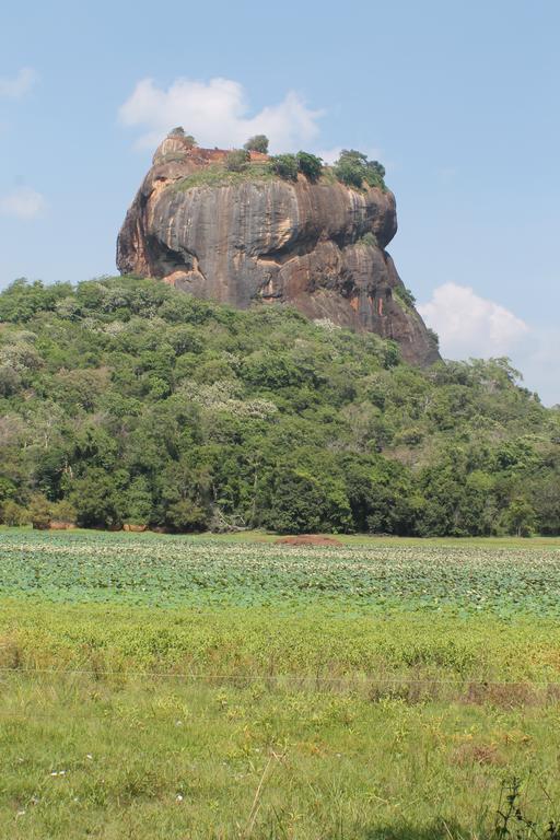 Sigiri Leisure Holiday Home Sigiriya Eksteriør billede